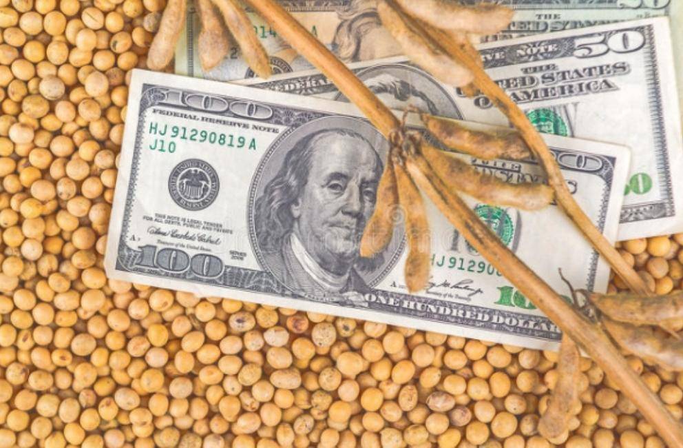 皇冠信用網开户_不提关税皇冠信用網开户,却要求中国增加4倍进口美国大豆,特朗普打的什么算盘?