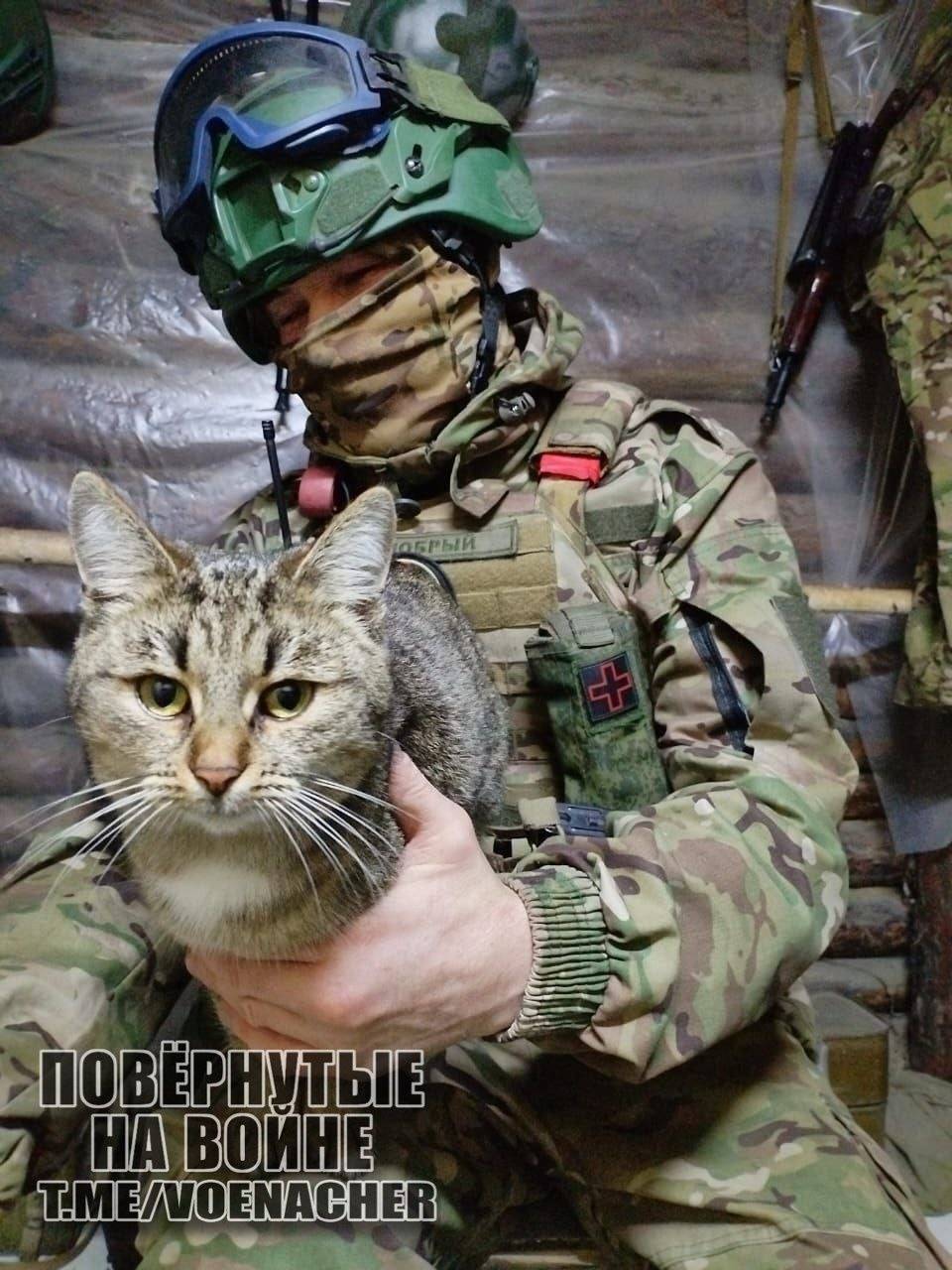 皇冠信用网登3出租
_乌克兰亚速营前参谋长:乌军前线炸锅了皇冠信用网登3出租
,俄军即将实现两次大包围