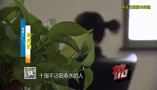 皇冠信用网会员开户申请
_“从小不缺钱皇冠信用网会员开户申请
,父母百依百顺”,53岁啃老女花光父亲遗产后,又盯上……