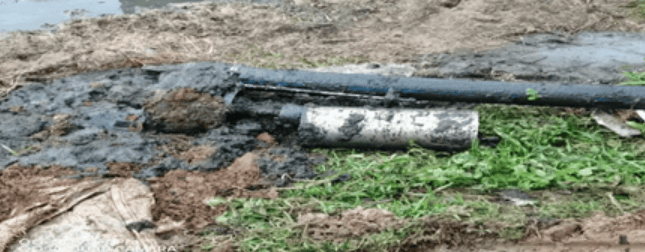 福岛联队vs鹿儿岛联_1人掉入猪舍粪池致3人殒命福岛联队vs鹿儿岛联!经济损失193.9384万元