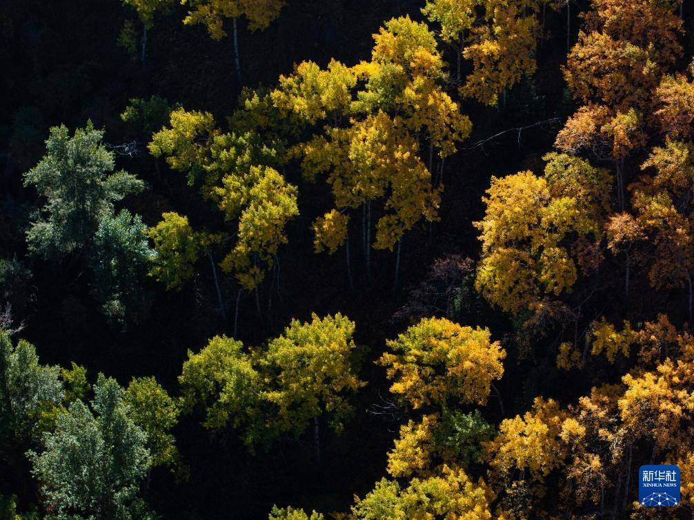 皇冠公司的代理怎么拿_哈萨克斯坦:伊塞克峡谷和伊塞克湖的秋日画卷