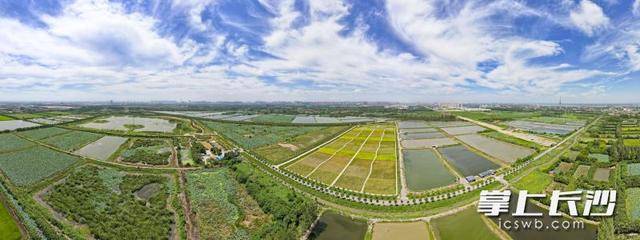 皇冠足球平台在哪里注册
_荒滩变绿洲 湖畔起乐园|一江碧水向东流