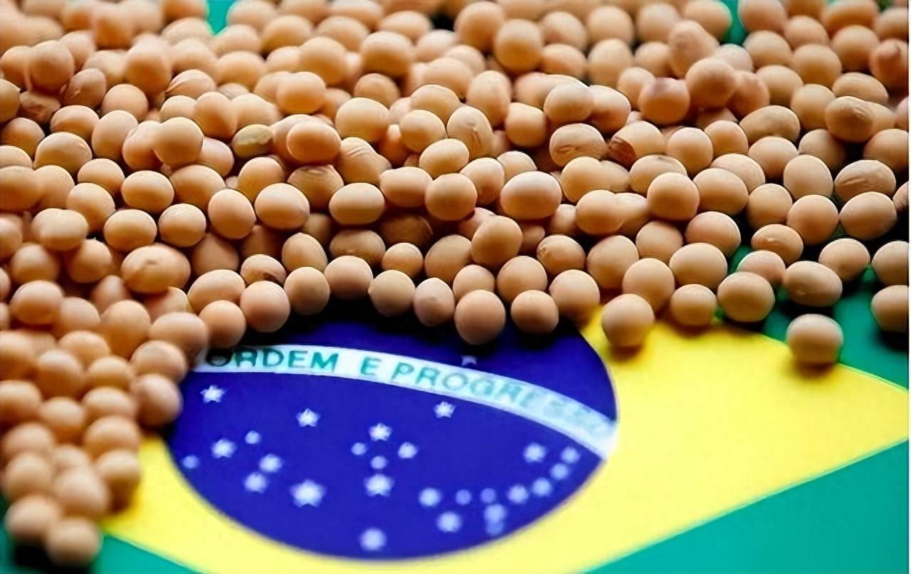 皇冠信用网代理平台
_200万吨大豆烂港!巴西主动降价皇冠信用网代理平台
,中国转头下单三船美国大豆,巴西自食其果了