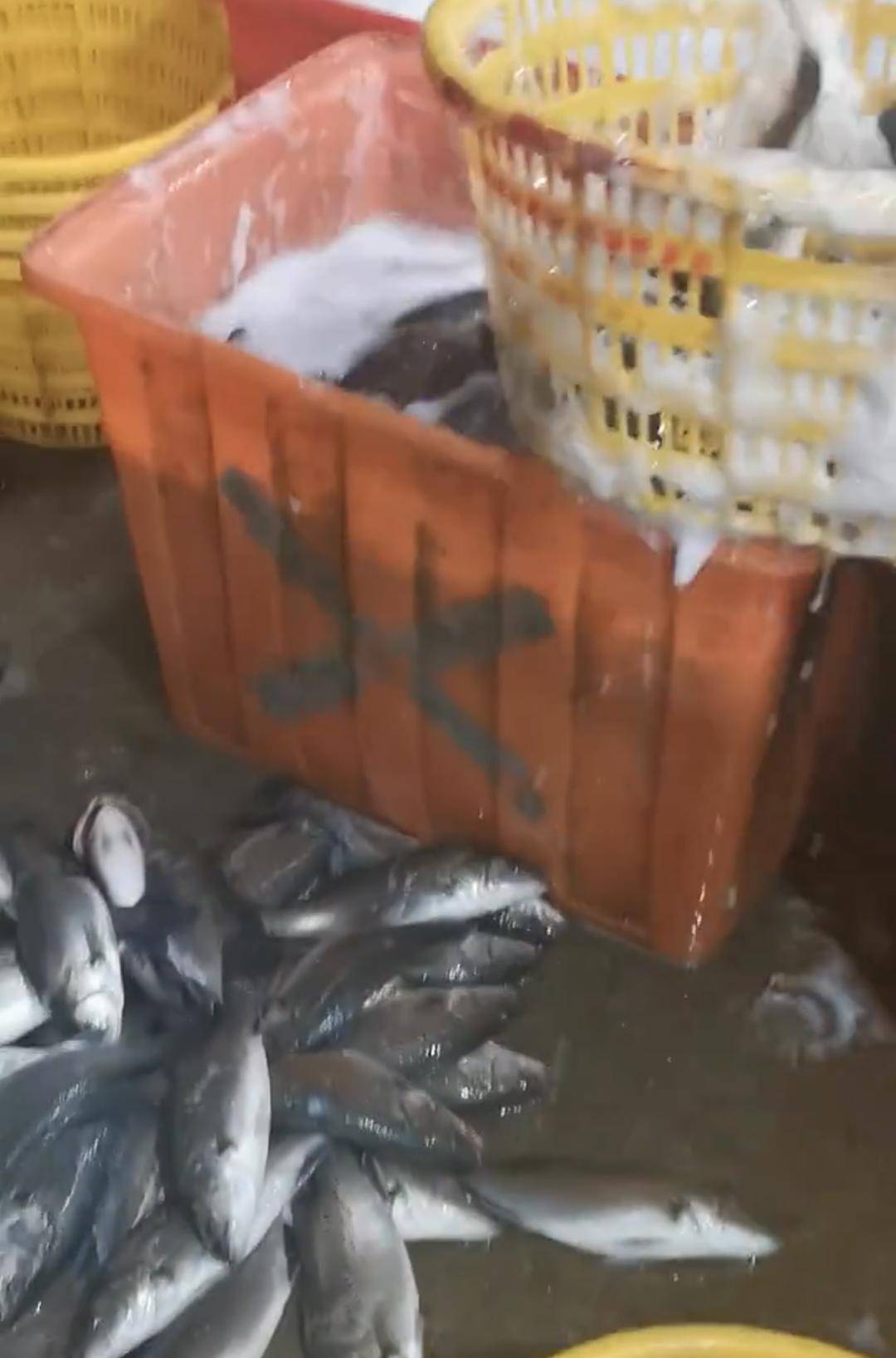 皇冠信用網开号
_水产市场“麻醉鱼”调查:有商家称麻药有味会换水再卖皇冠信用網开号
,有无危害尚不明,出台监管措施尚缺理论依据