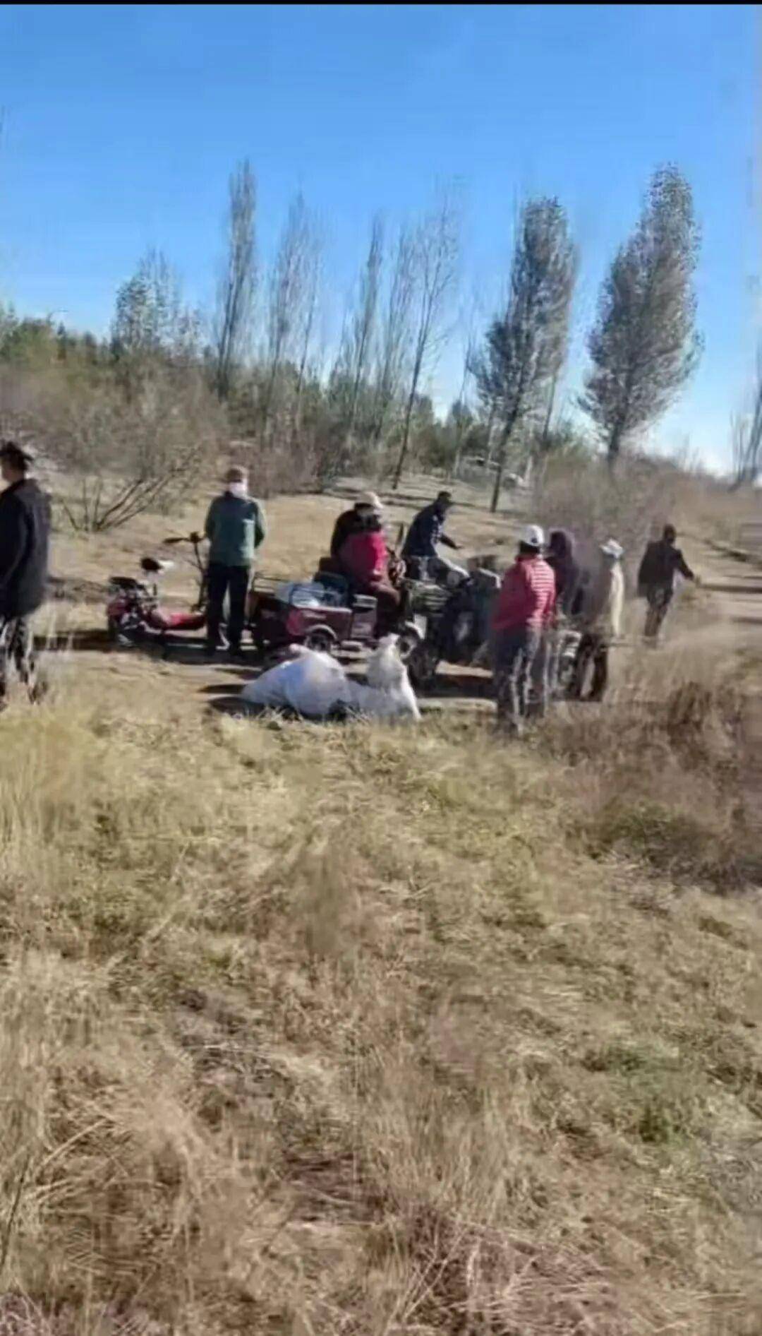 皇冠信用网
_百亩向日葵遭村民哄抢皇冠信用网
,损失50万元!警方已行拘4人