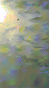 皇冠信用账号怎么开
_被打惨后皇冠信用账号怎么开
,伊朗空军飞行员对苏-57感到失望:本来要买150架歼-10