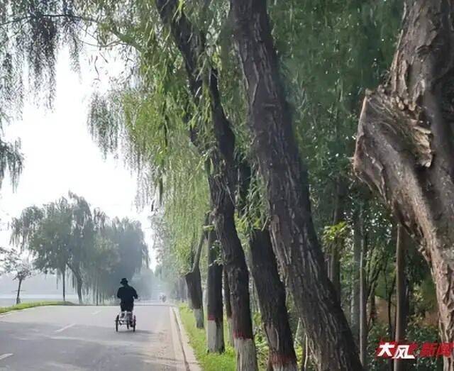 皇冠信用網网址
_陕西兴平56岁女教师骑电动车“撞树枝”身亡皇冠信用網网址
,交警判定担主责,家属提出诸多质疑,多方回应