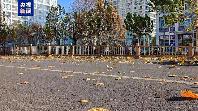 巴黎圣日耳曼
_大风蓝色预警巴黎圣日耳曼
!2日白天北京最高气温将跌破0℃