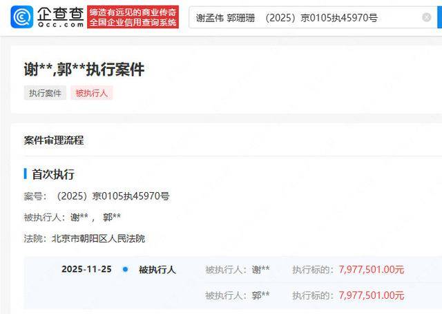 篮球
_“嘎子”谢孟伟夫妇再被执行797万篮球
,此前被执行超1400万