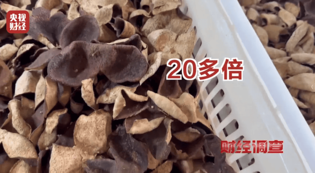 皇冠信用盘登2
_广西浦北凌晨通报——