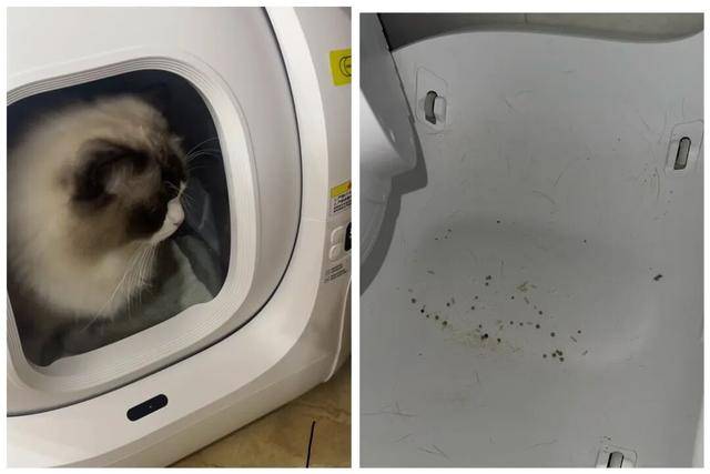 皇冠手机管理端登录_AI养宠神器皇冠手机管理端登录,收割年轻人