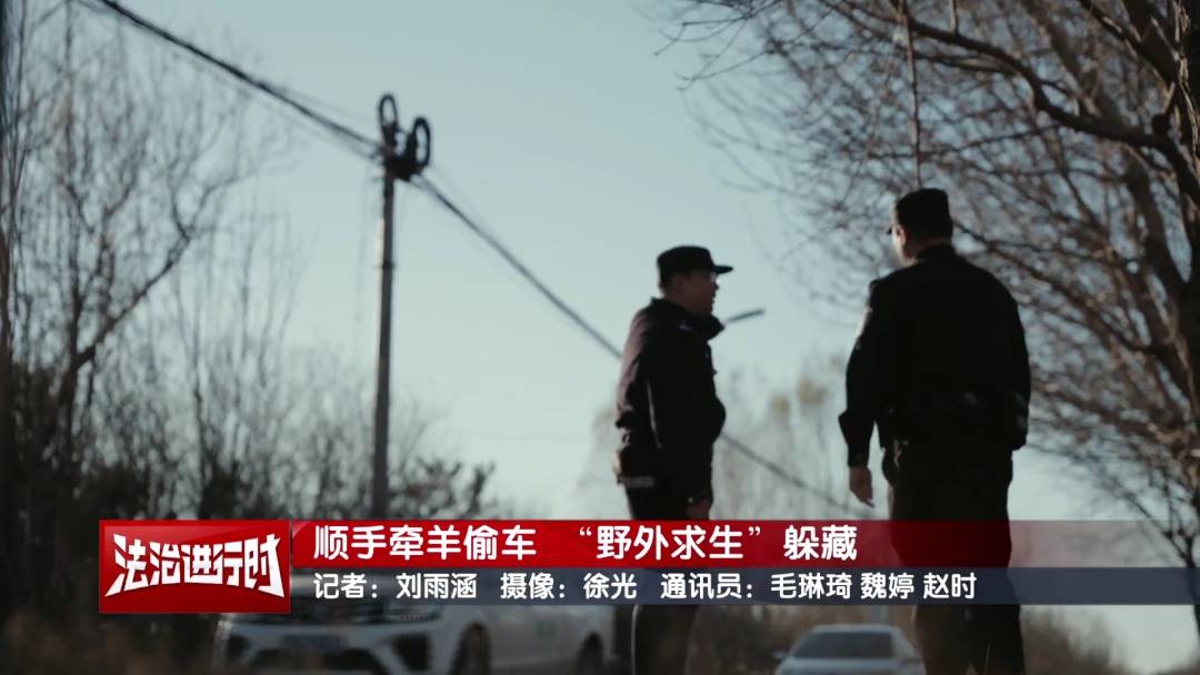 皇冠登录地址_北京警方刑拘1名“荒野求生”爱好者