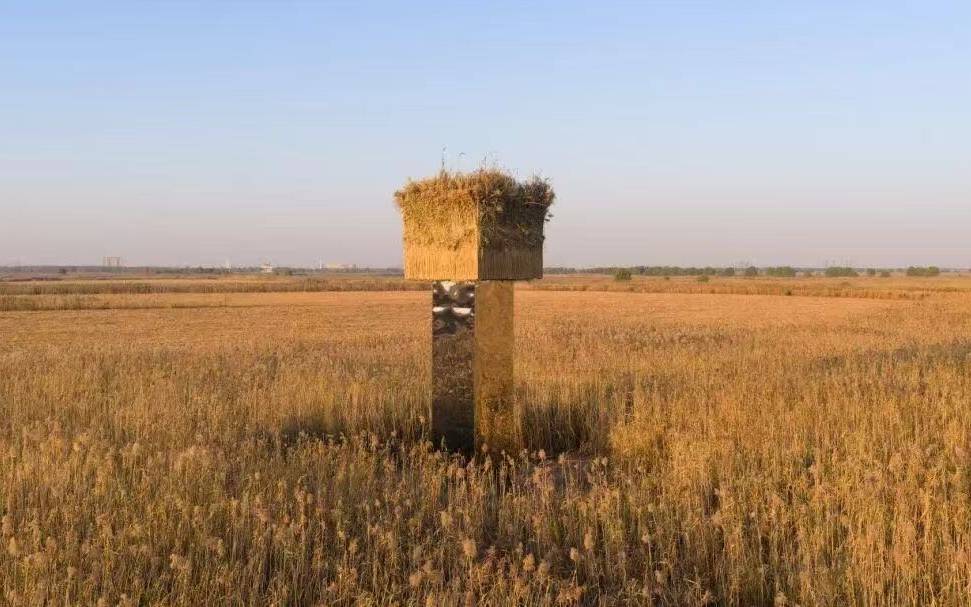 皇冠提现
_洞庭湖芦苇荡内架设9.5米高镜面装置皇冠提现
,鸟类专家:会引发鸟撞