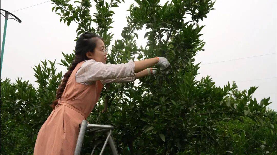 皇冠会员如何申请_考研失败、工作失业皇冠会员如何申请，95后情侣回成都换赛道火了，全网追着买！她说：不是爽文逆袭